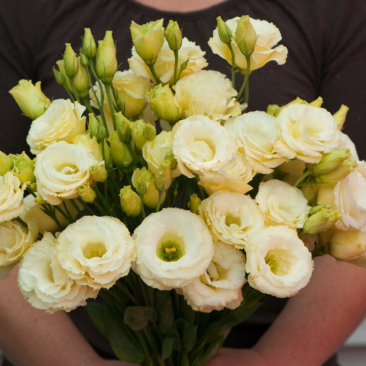 Most Expensive Flowers On The Planet