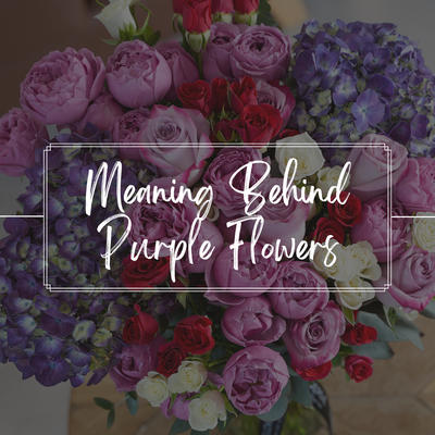 The Secret Meaning Behind Purple Flowers