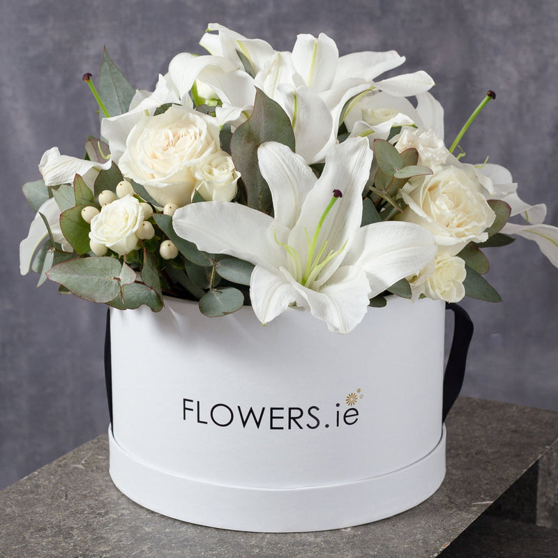 Everything you need to know about Lilies