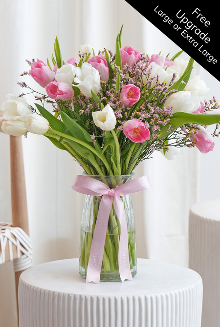 Luxury Pink and White Tulips - Vase (Free Upgrade to Large or Extra Large)