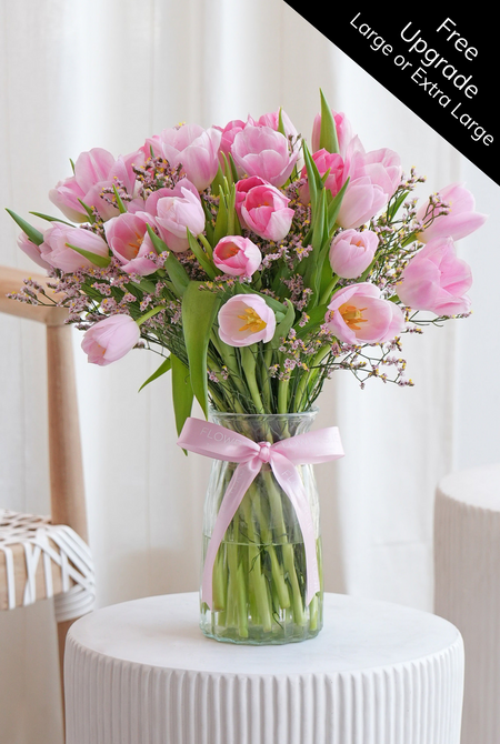 Luxury Pink Tulips - Vase (Free Upgrade to Large or Extra Large)