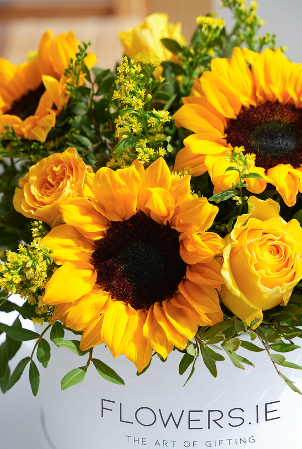 Sunflower Hatbox Summer Flower Delivery Flowers.ie