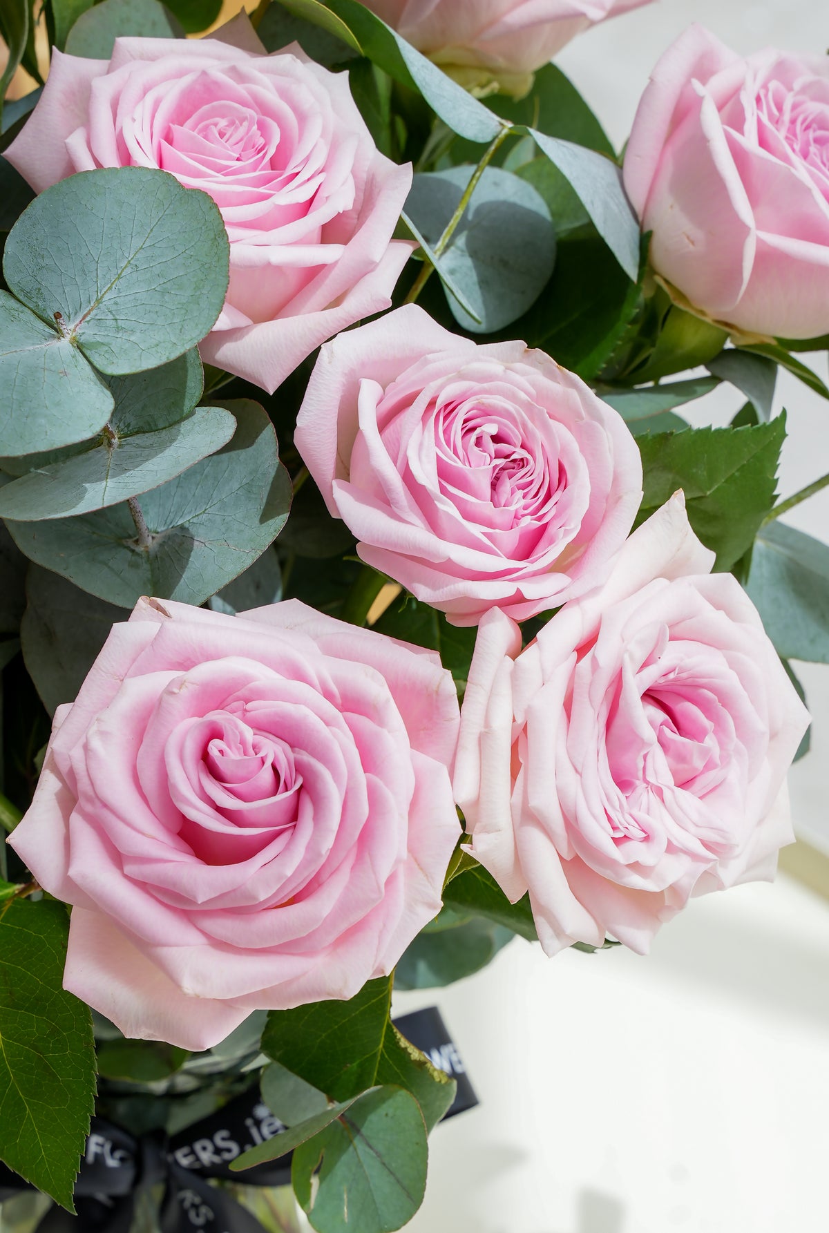 36 Long Stem Pink Roses - Vase