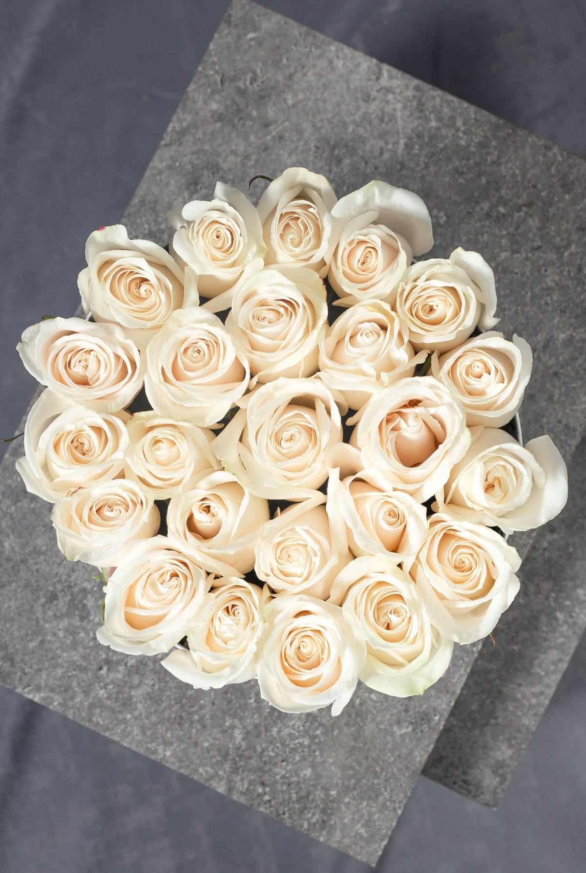 White Rose - Hatbox