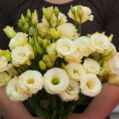 Most Expensive Flowers On The Planet