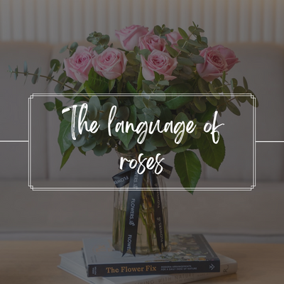 The Secret Language Of Roses 