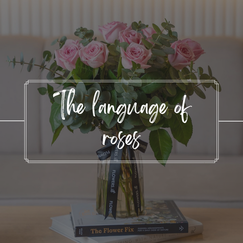 The Secret Language Of Roses 
