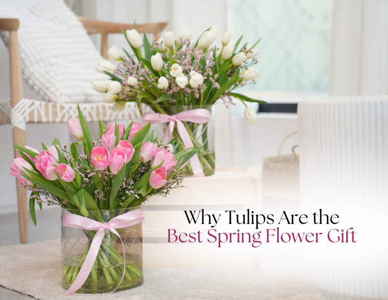 Why Tulips Are the Best Spring Flower Gift