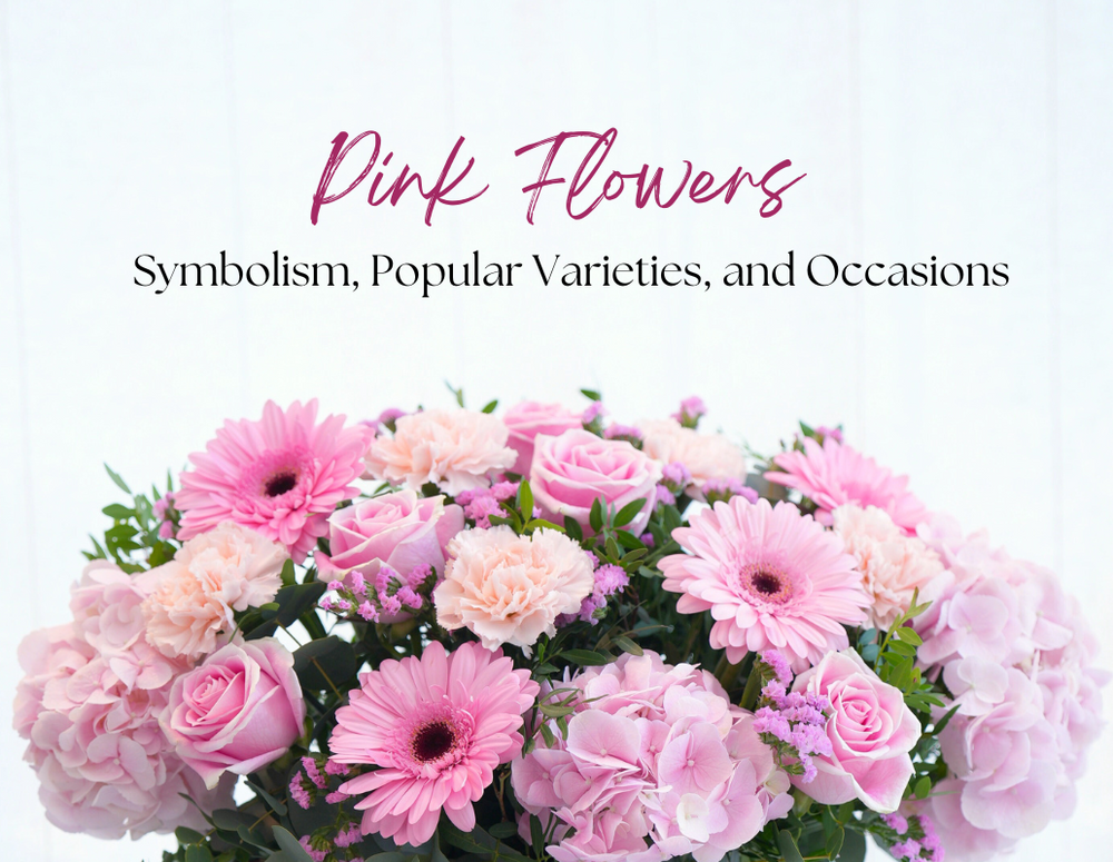 Pink Flowers: Symbolism, Popular Varieties, and Occasions