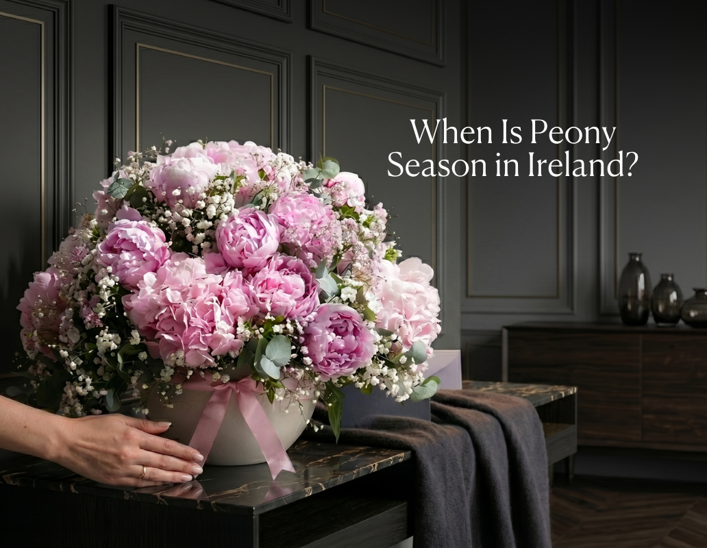 When Is Peony Season in Ireland?