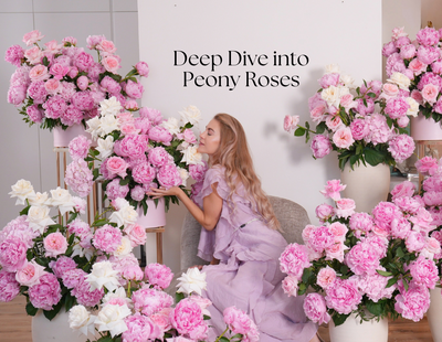 Deep Dive into Peony Roses: Meaning, Care, and Uses