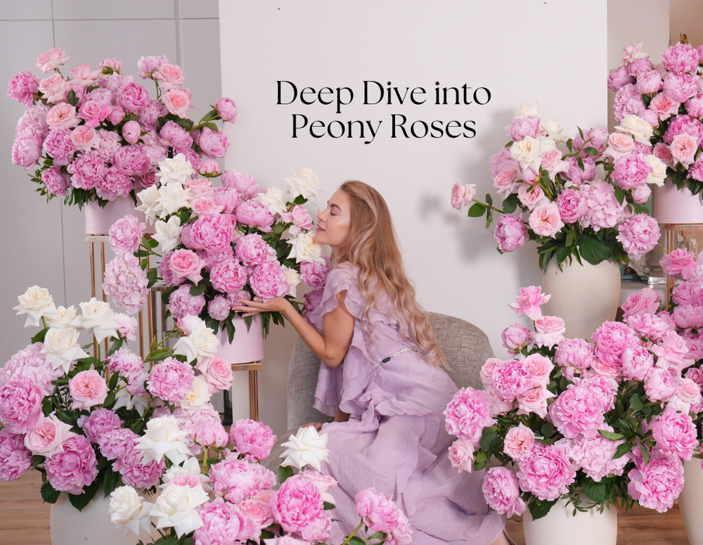 Deep Dive into Peony Roses: Meaning, Care, and Uses