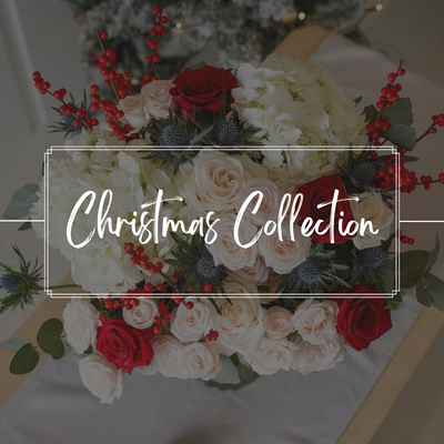 Introducing Our Christmas Collection