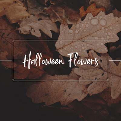 Get Into The Halloween Spirit With Spooky Flowers
