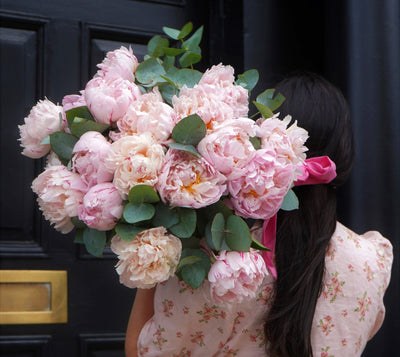 The Complete Guide to Peony Flowers