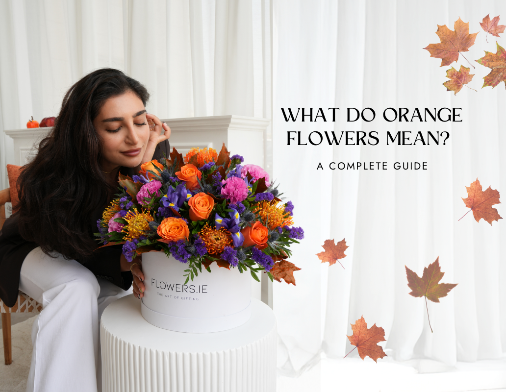 What Do Orange Flowers Mean? A Complete Guide
