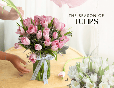 When Do Tulips Flower? A Seasonal Guide
