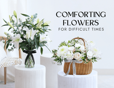 What Are The Most Comforting Flowers for Difficult Times?