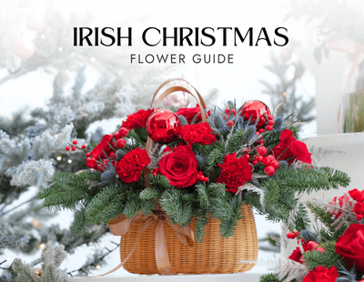 Complete Guide to Christmas Flowers in Ireland