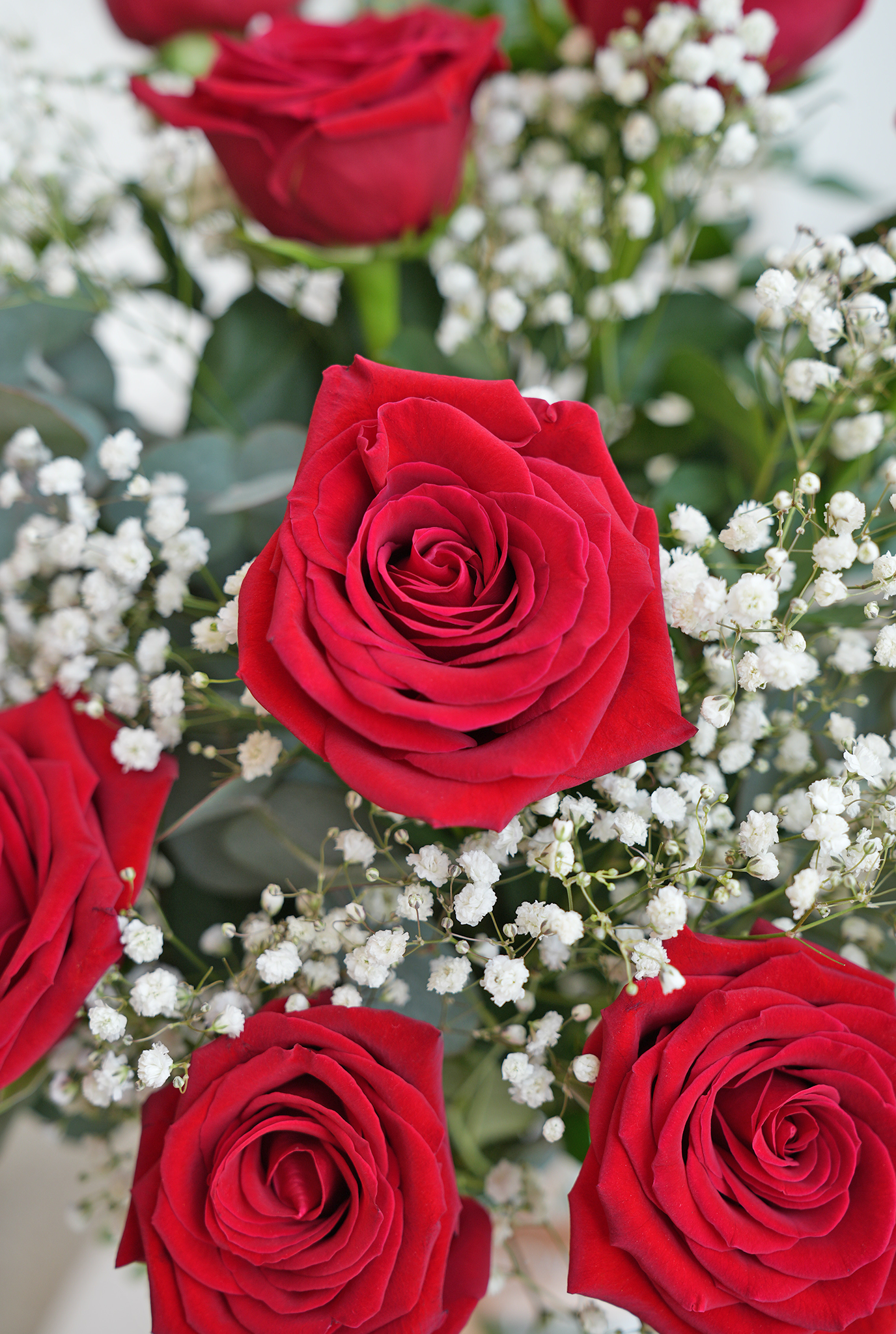 Red Scripsy Roses Valentine 12 Luxury Red Roses - Vase (Free Crispy Hearts) | Delivery in ...