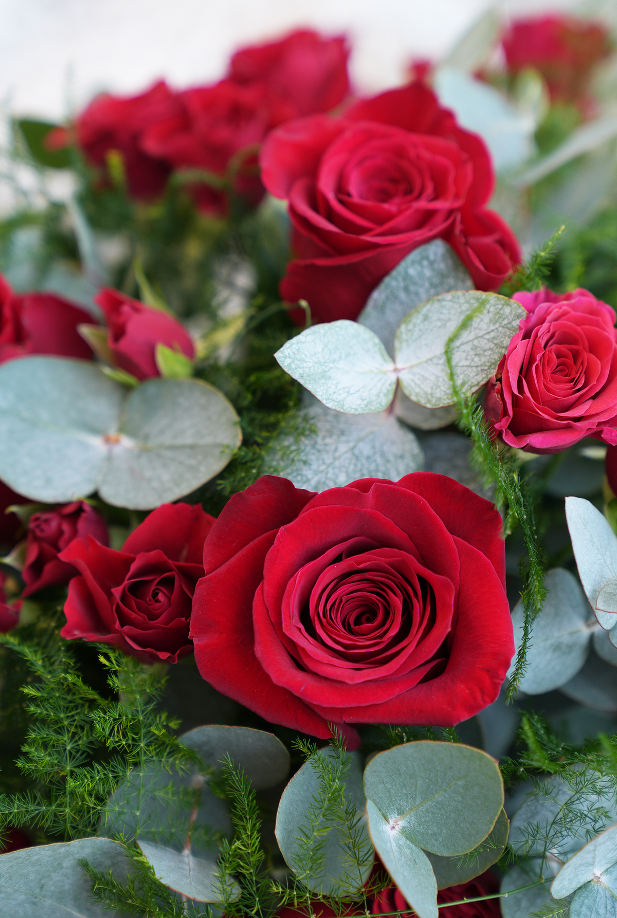 Valentine 12 Luxury Red Rose - Hatbox with Chocolate Indulgence Large