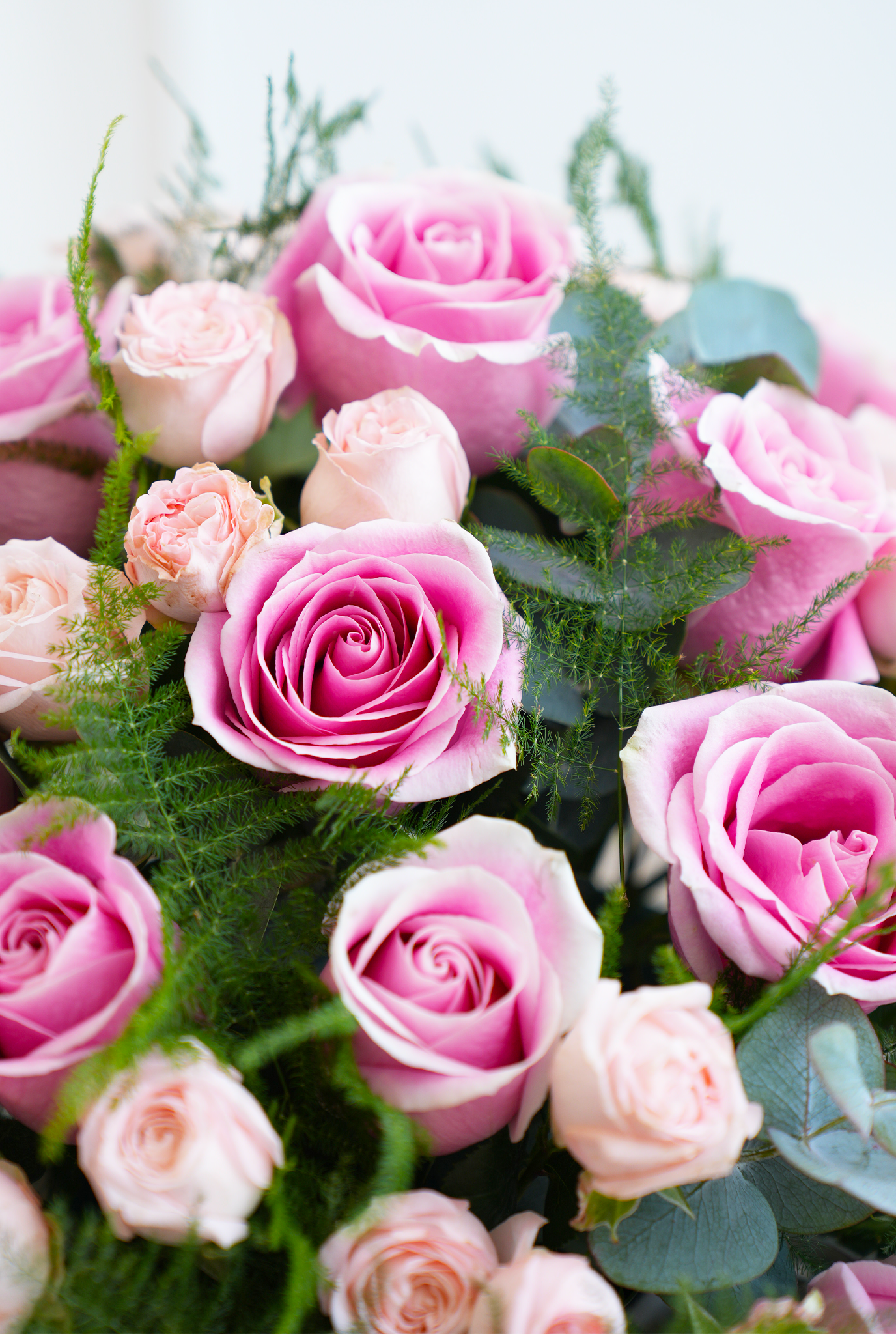 Valentine Pink Flowers