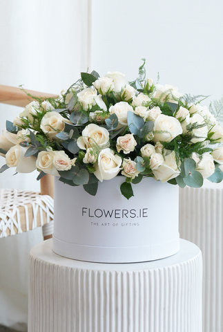 Valentine 24 Elegant White Roses - Hatbox