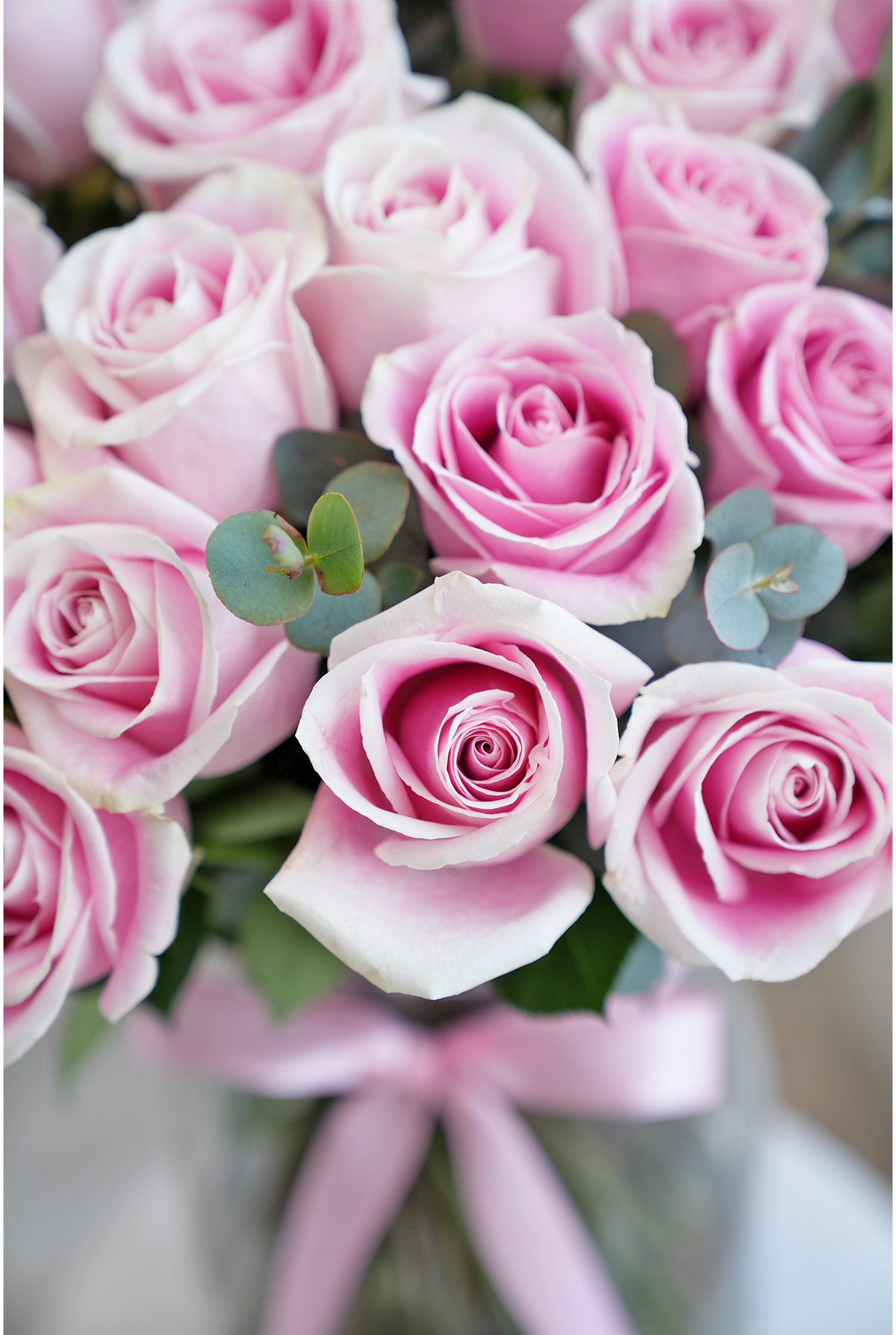 Valentine 50 Pretty Pink Rose Supreme - Vase