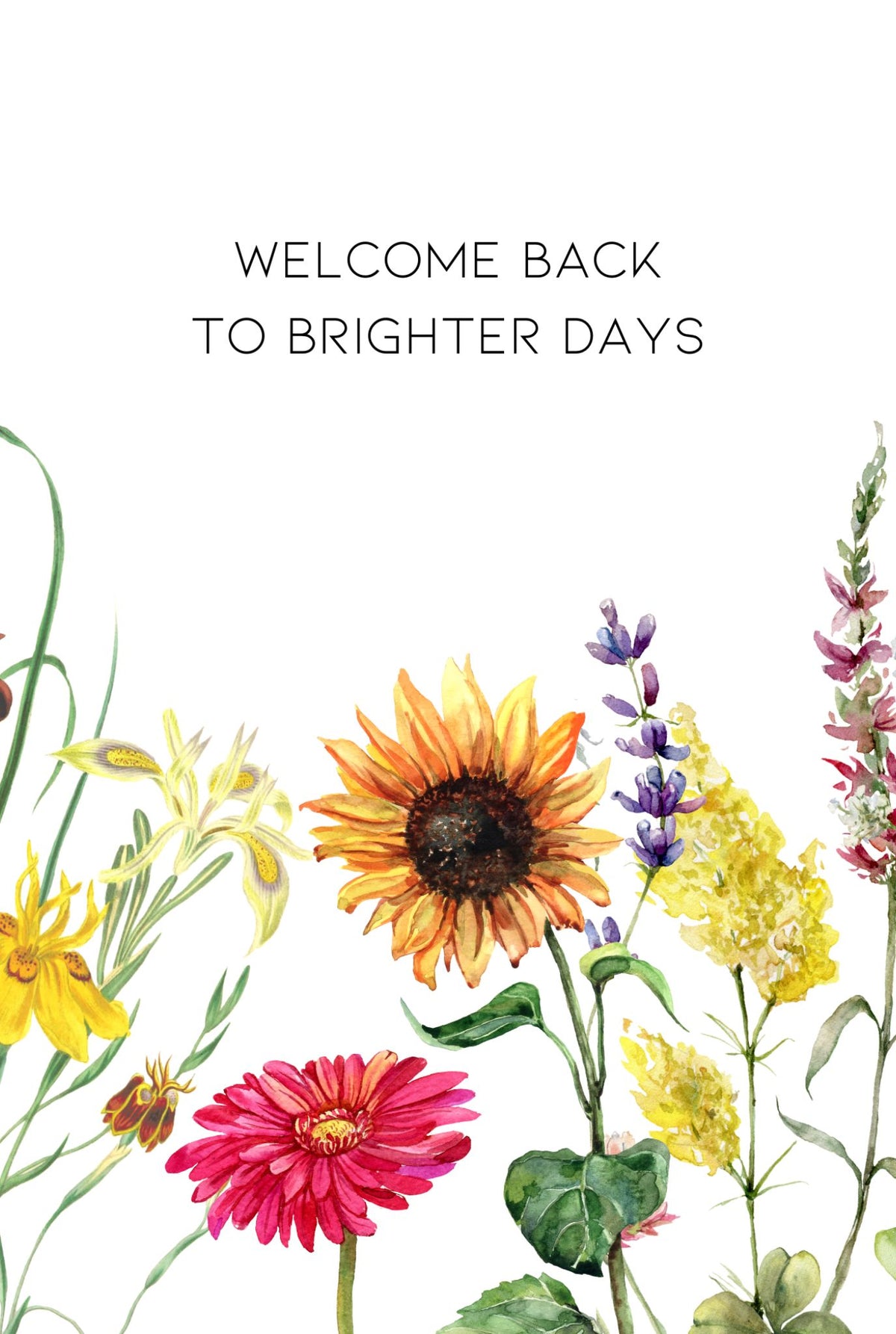 Special Offer Occasion Card