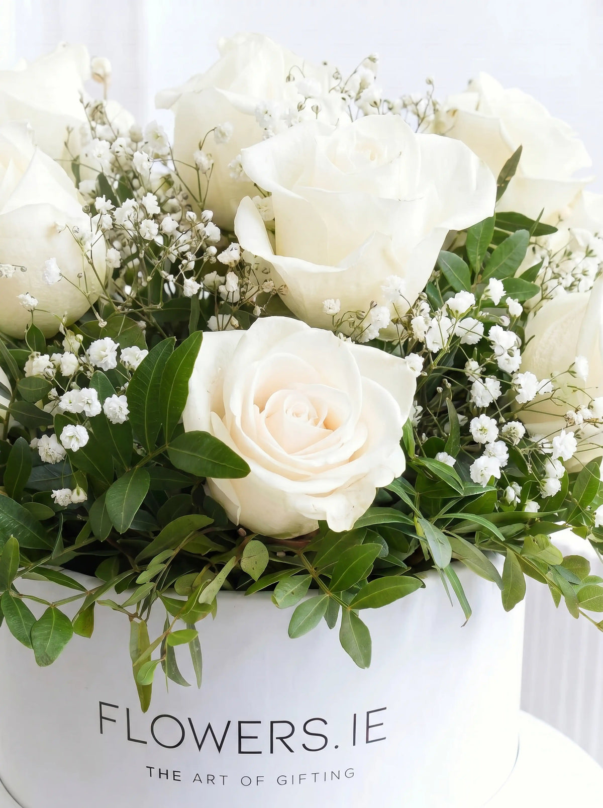 Ivory Bliss - Hatbox