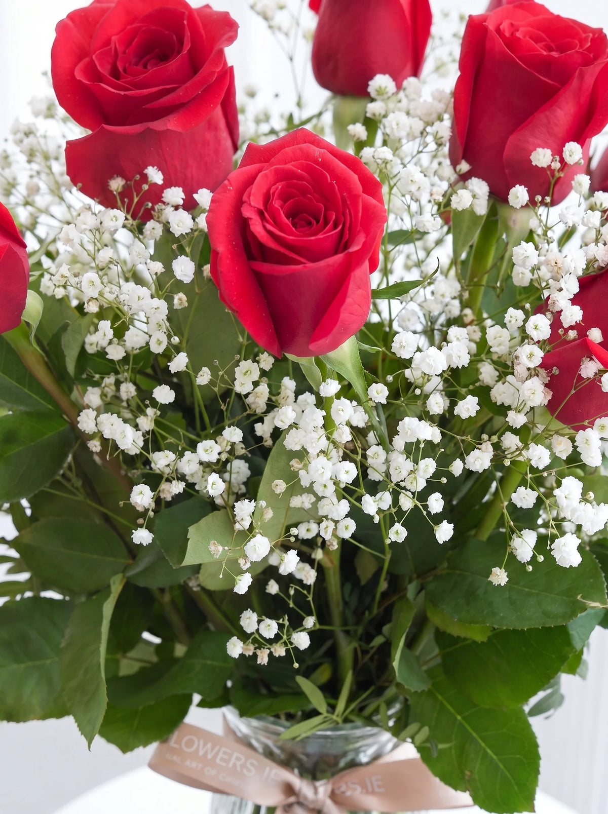12 Long Stem Red Roses - Vase