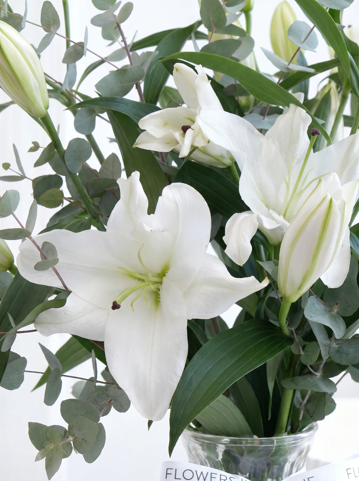 White Scented Lily - Vase