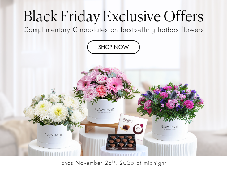 Mobile Fallback Image