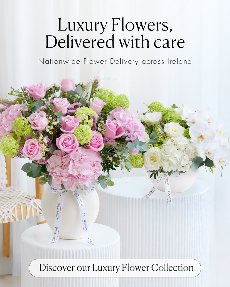 Mobile Fallback Image