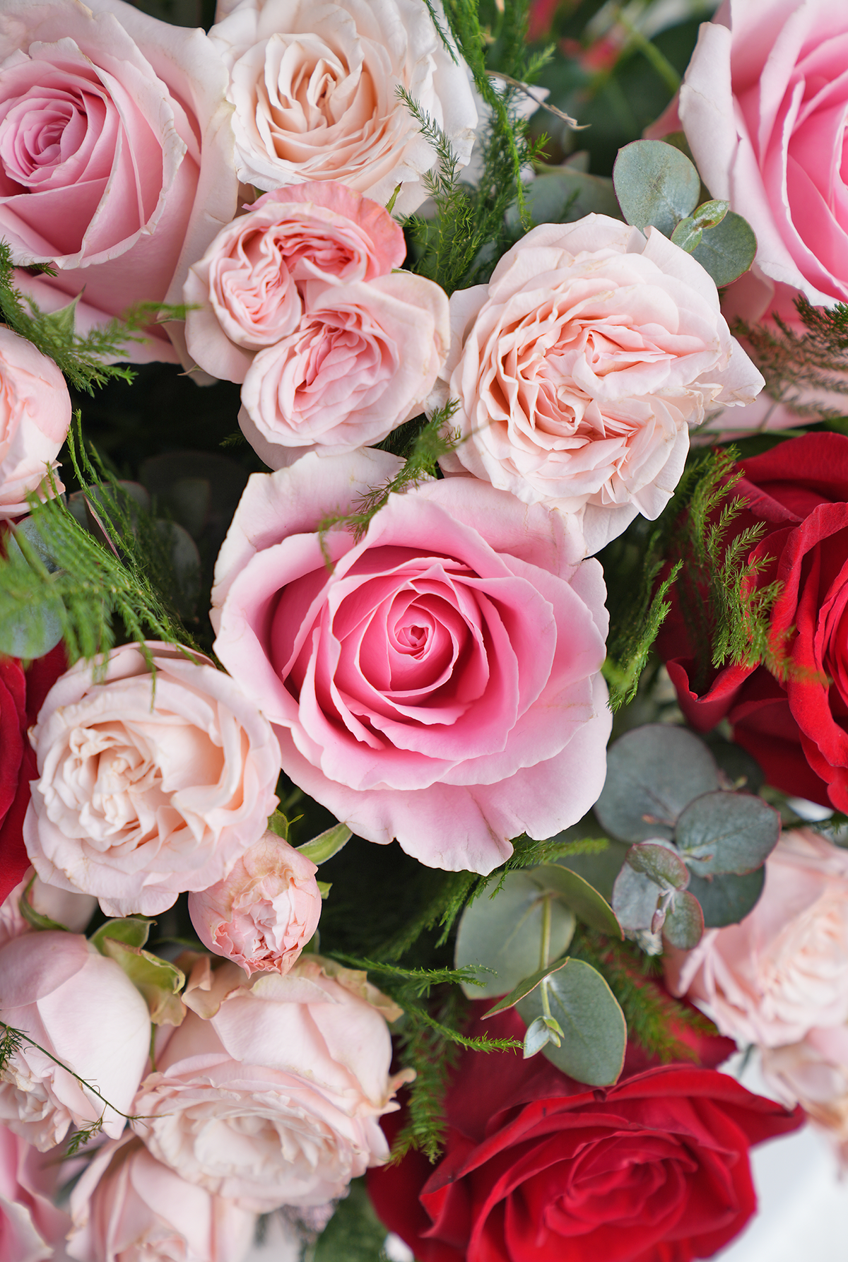 Valentine Red and Pink Roses - Luxury Arrangement