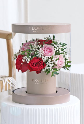 Valentine Premium Red and Pink Rose - Hatbox