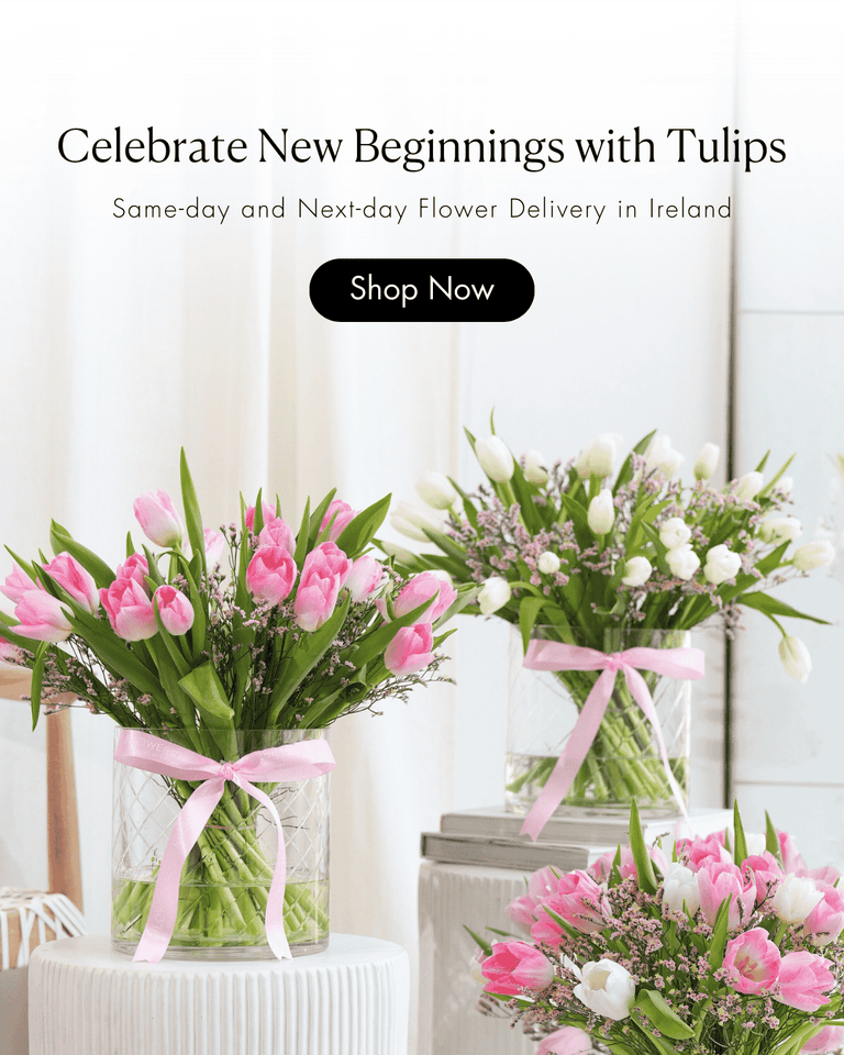 Mobile Fallback Image