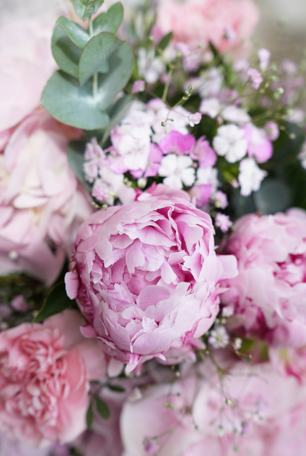 Peony Pretty Pink - Vase