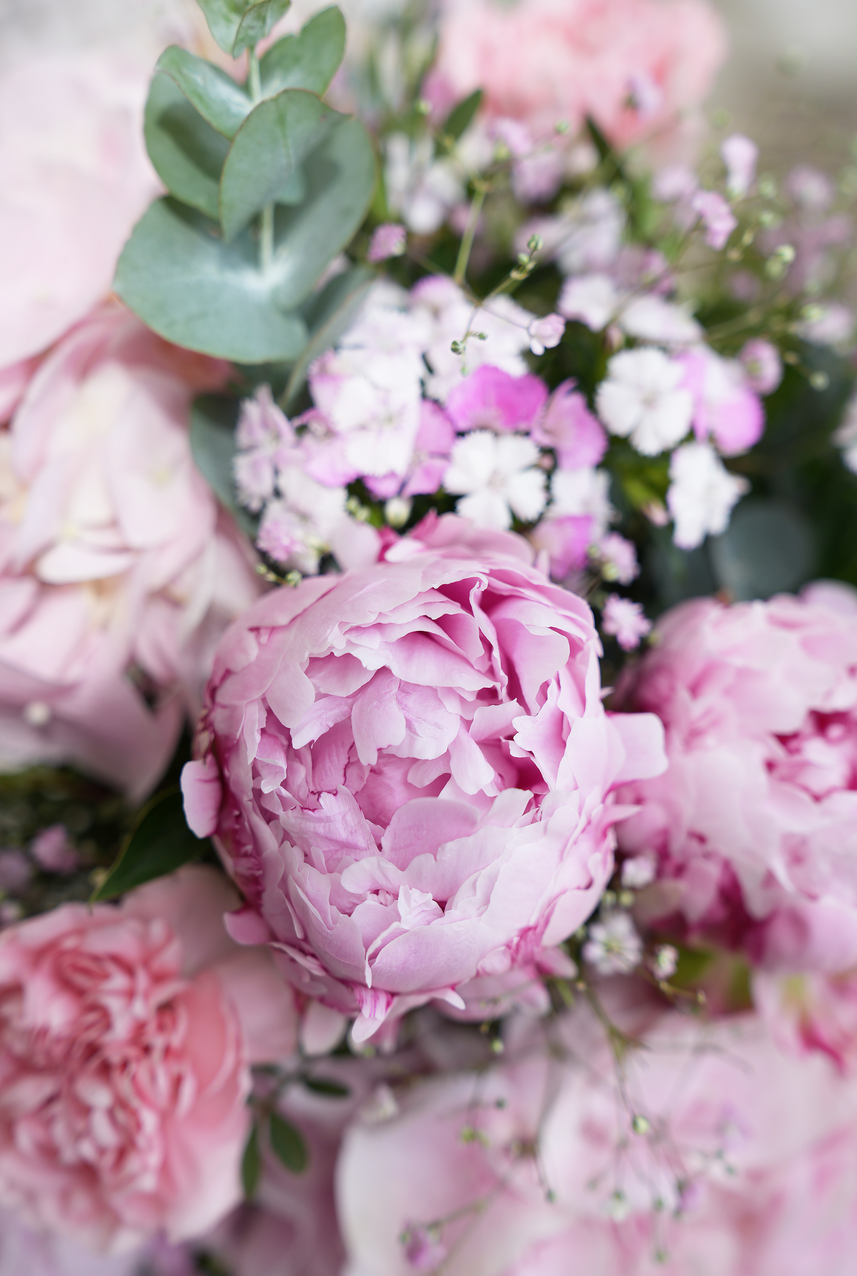 Get Well Peony Pretty Pink - Vase