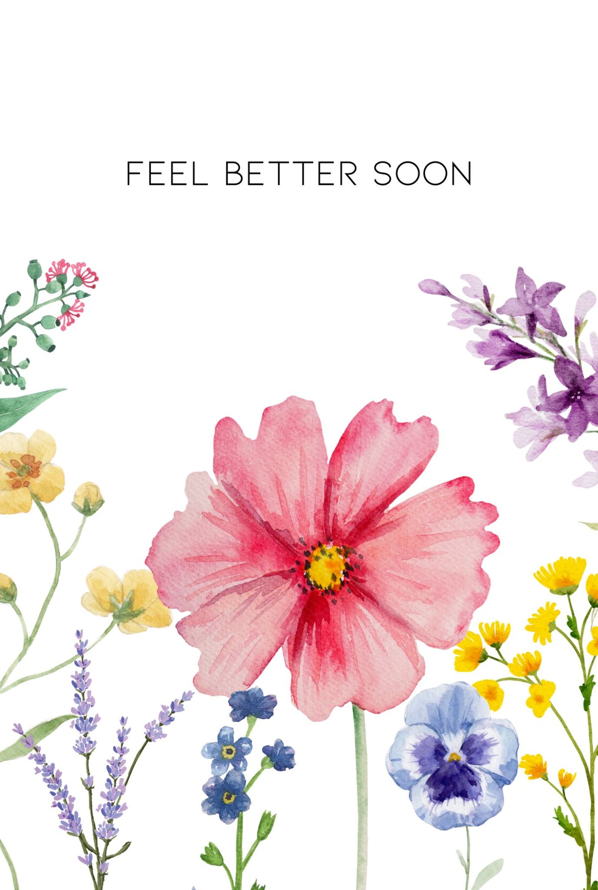 Special Offer Occasion Card