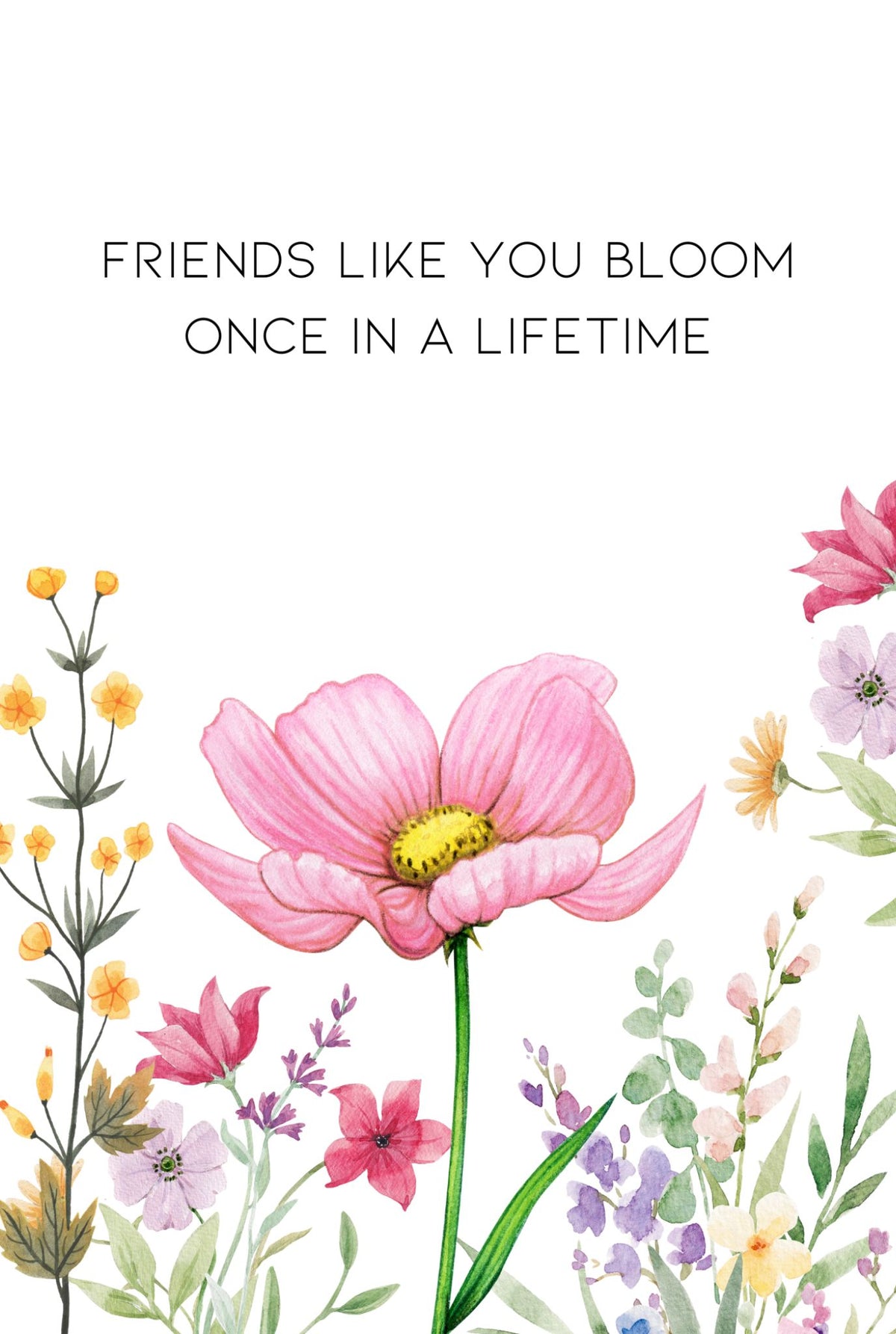 Special Offer Occasion Card