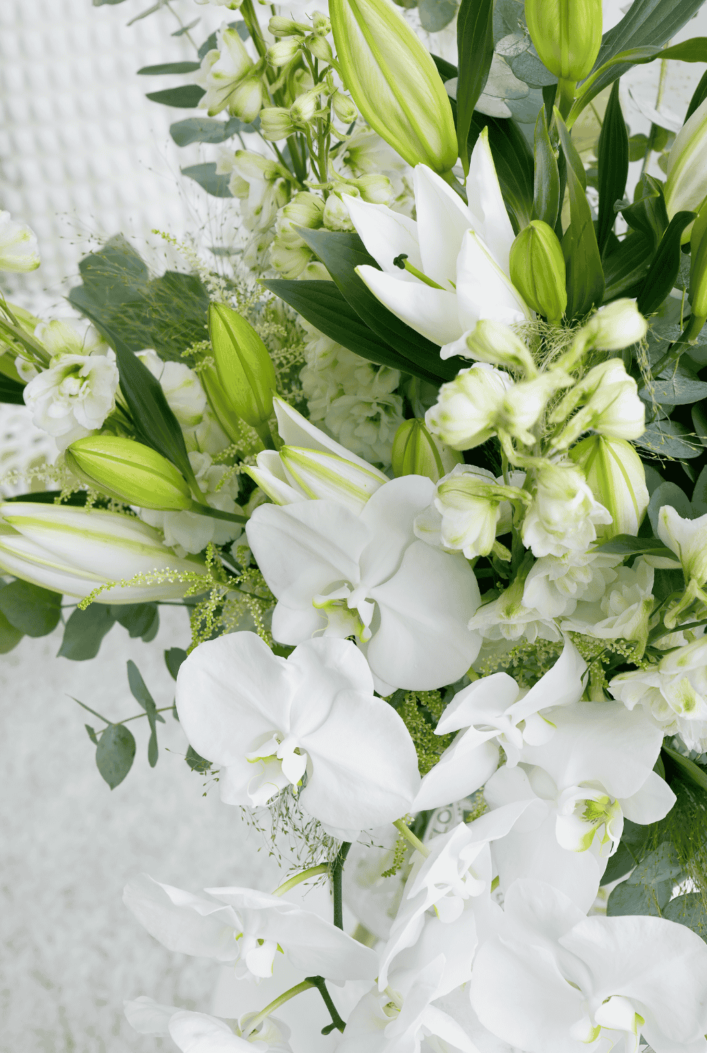 Premium VIP - Vase