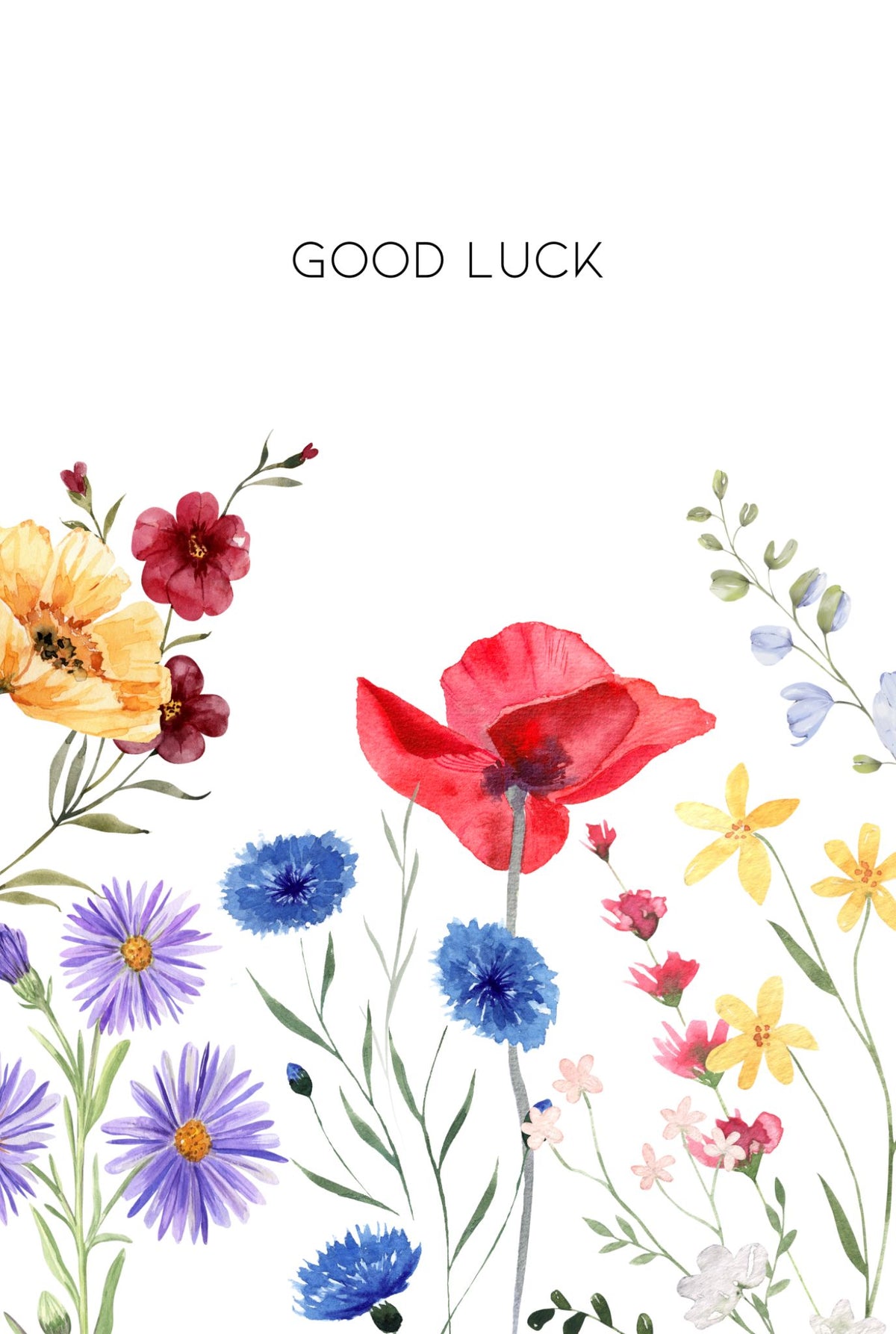 Special Offer Occasion Card