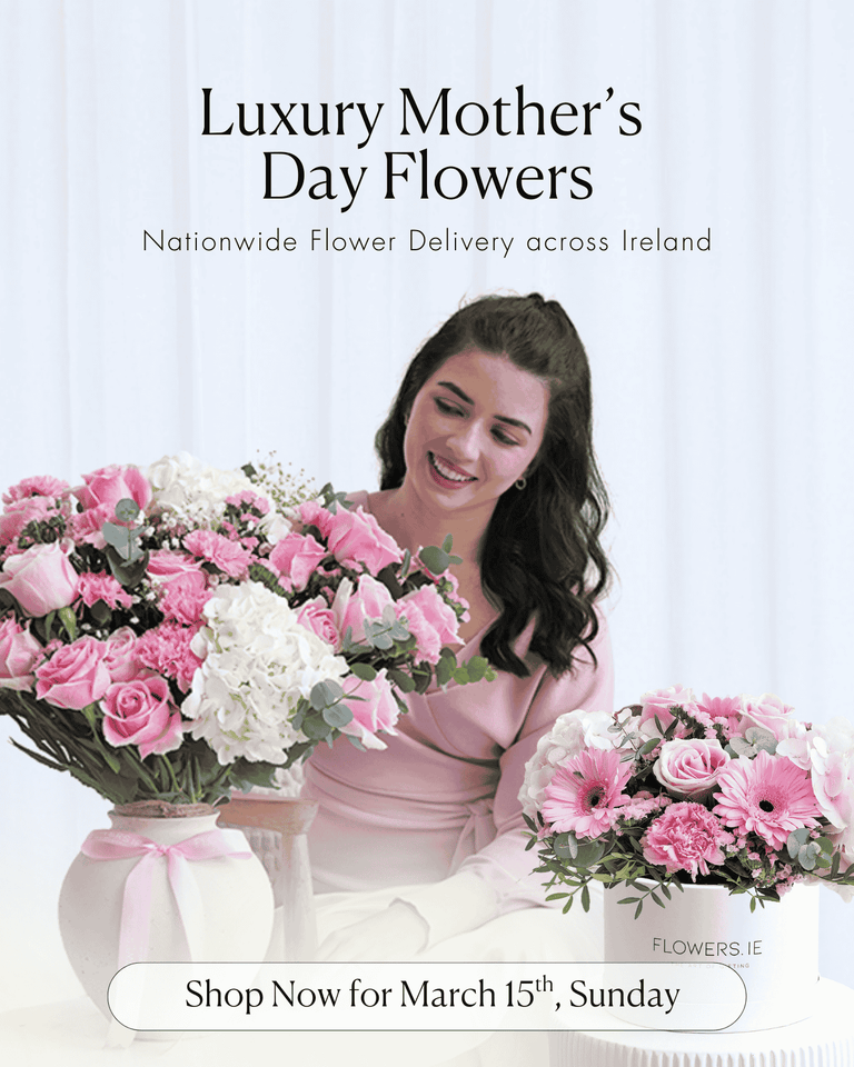 Mobile Fallback Image