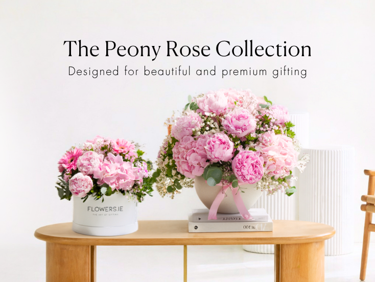 Peony Rose Collection