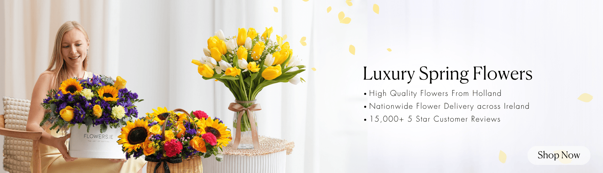 Desktop Fallback Image