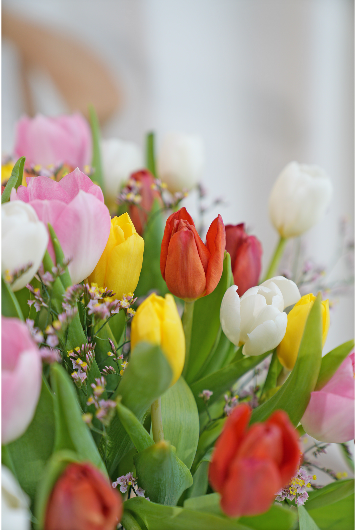 Luxury Signature Tulips - Vase