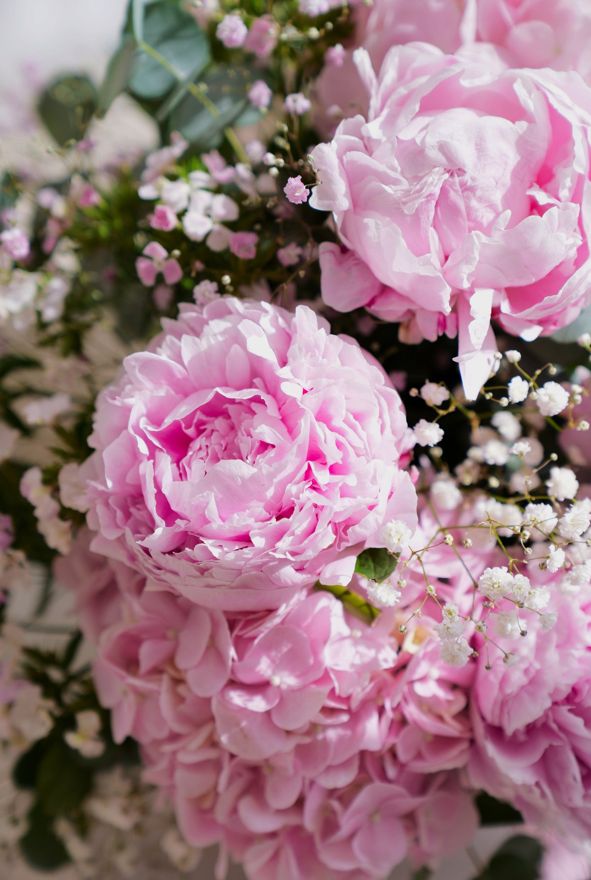 Luxury Pink Peony - Arrangement