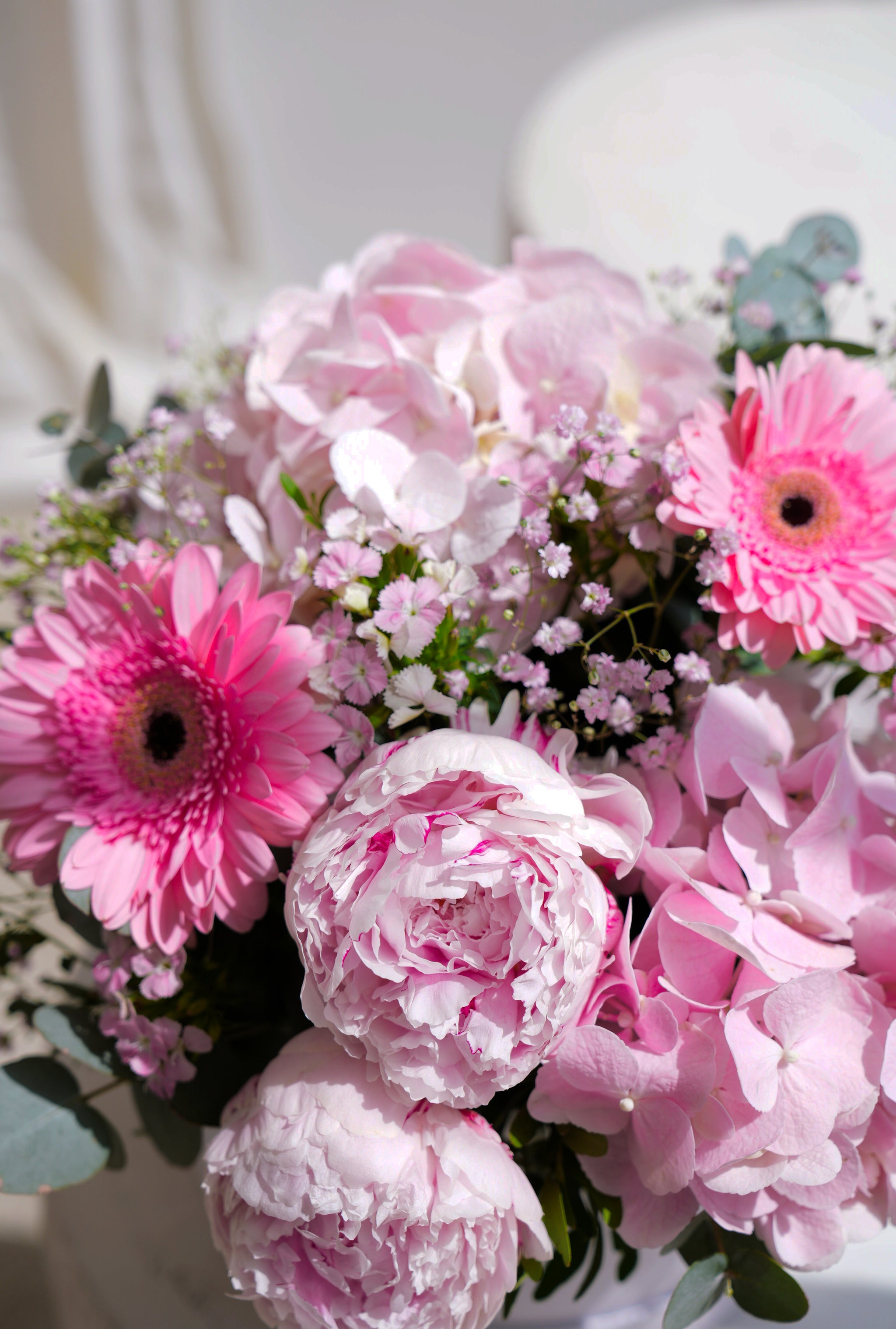 Std Pretty Peony Pretty Pink - Hatbox | Flowers.ie