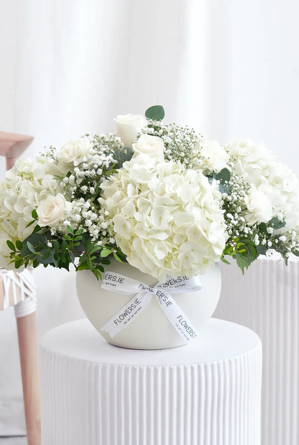 Perfect White - Arrangement
